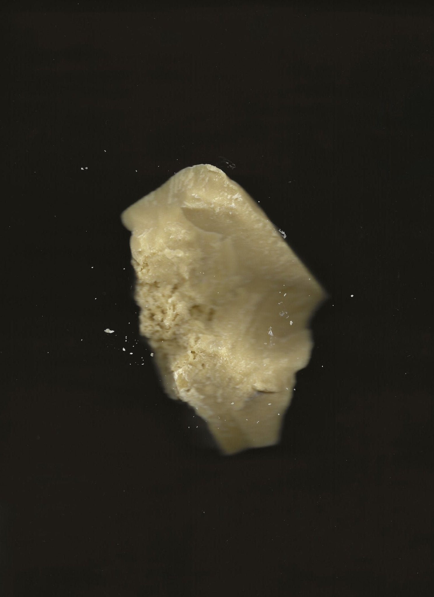 cacao-rose-cuticle-lip-and-brow-balm-regenerative-tallow-956436.jpg