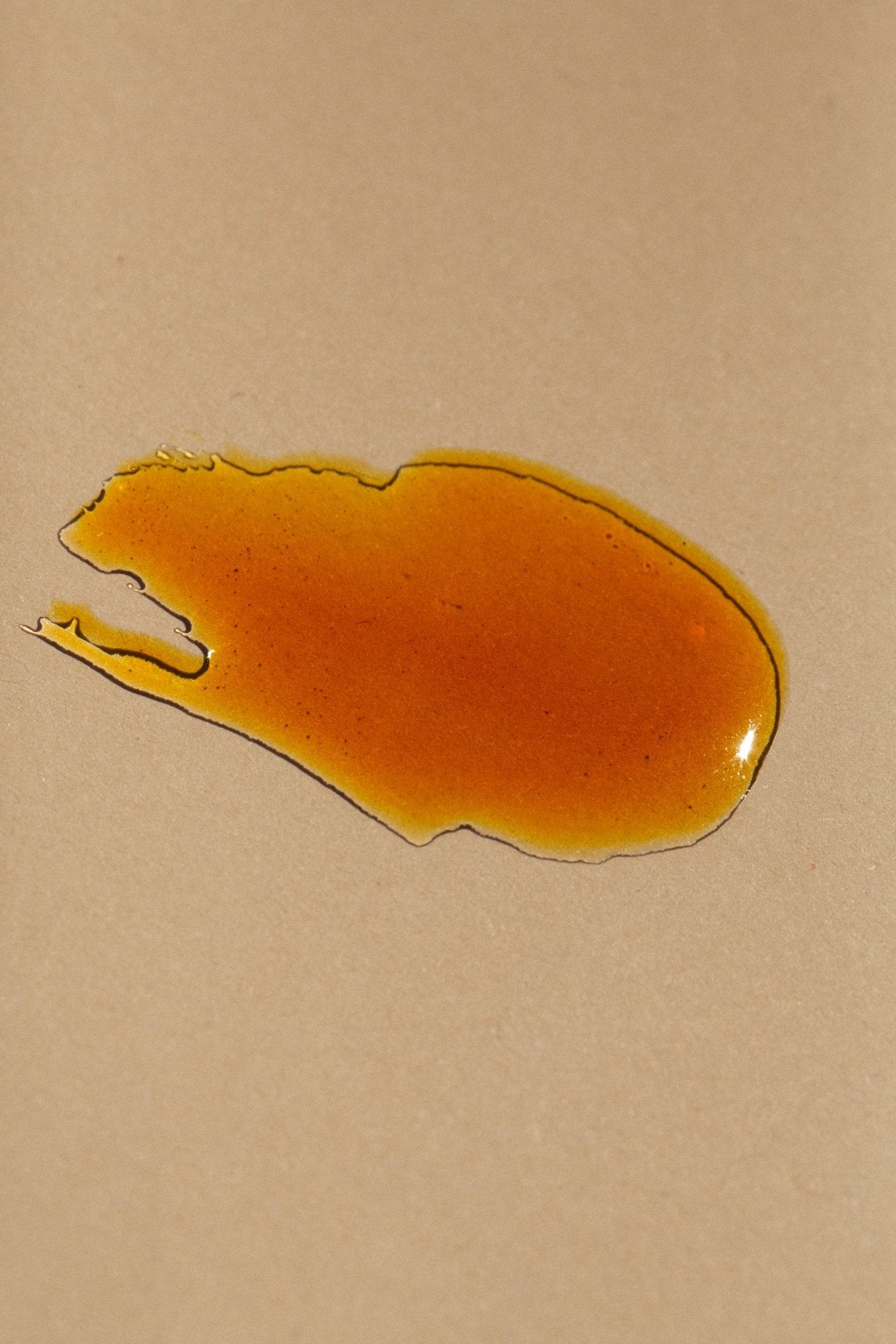 cardamom-blood-orange-lip-balm-regenerative-tallow-943417.jpg
