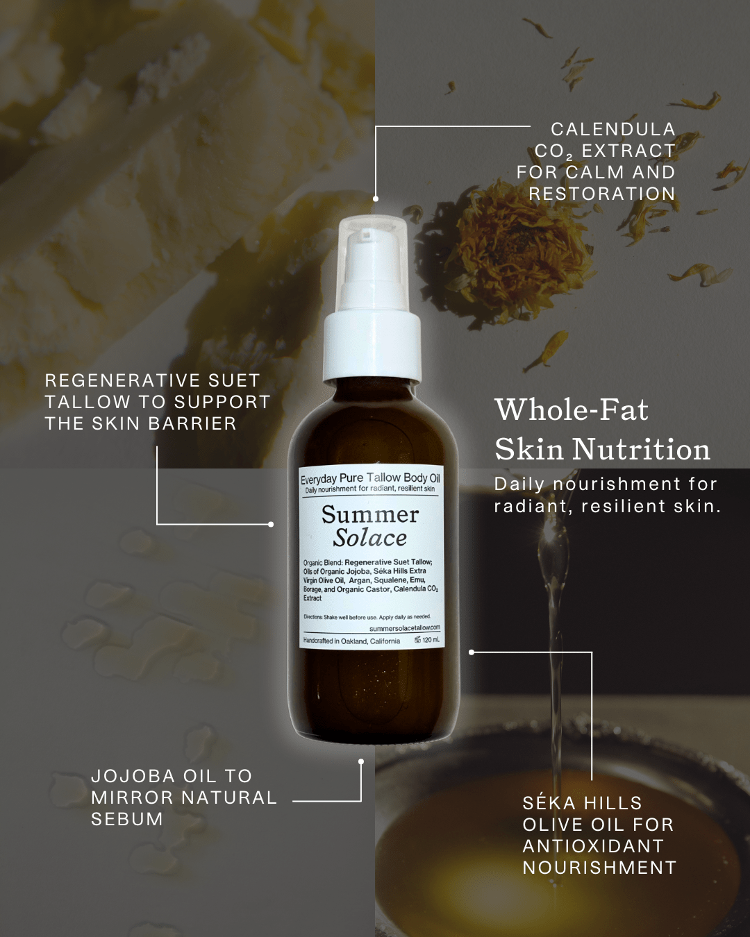 everyday-pure-tallow-body-oil-7426703.png