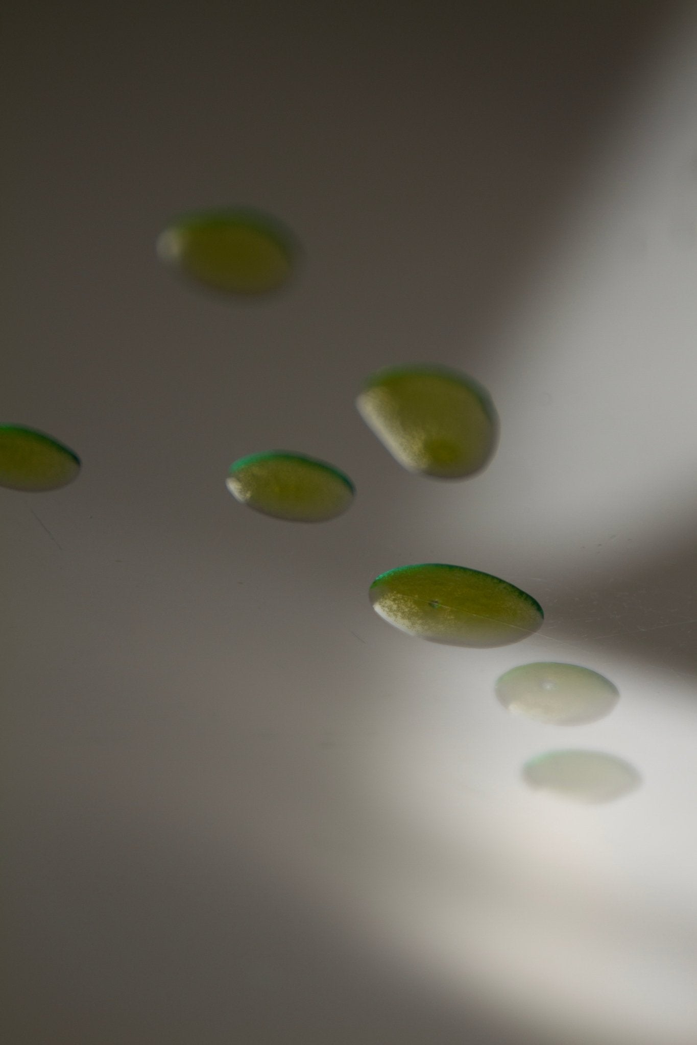 mountain-song-body-oil-tallow-based-botanical-infusion-coming-soon-617638.jpg