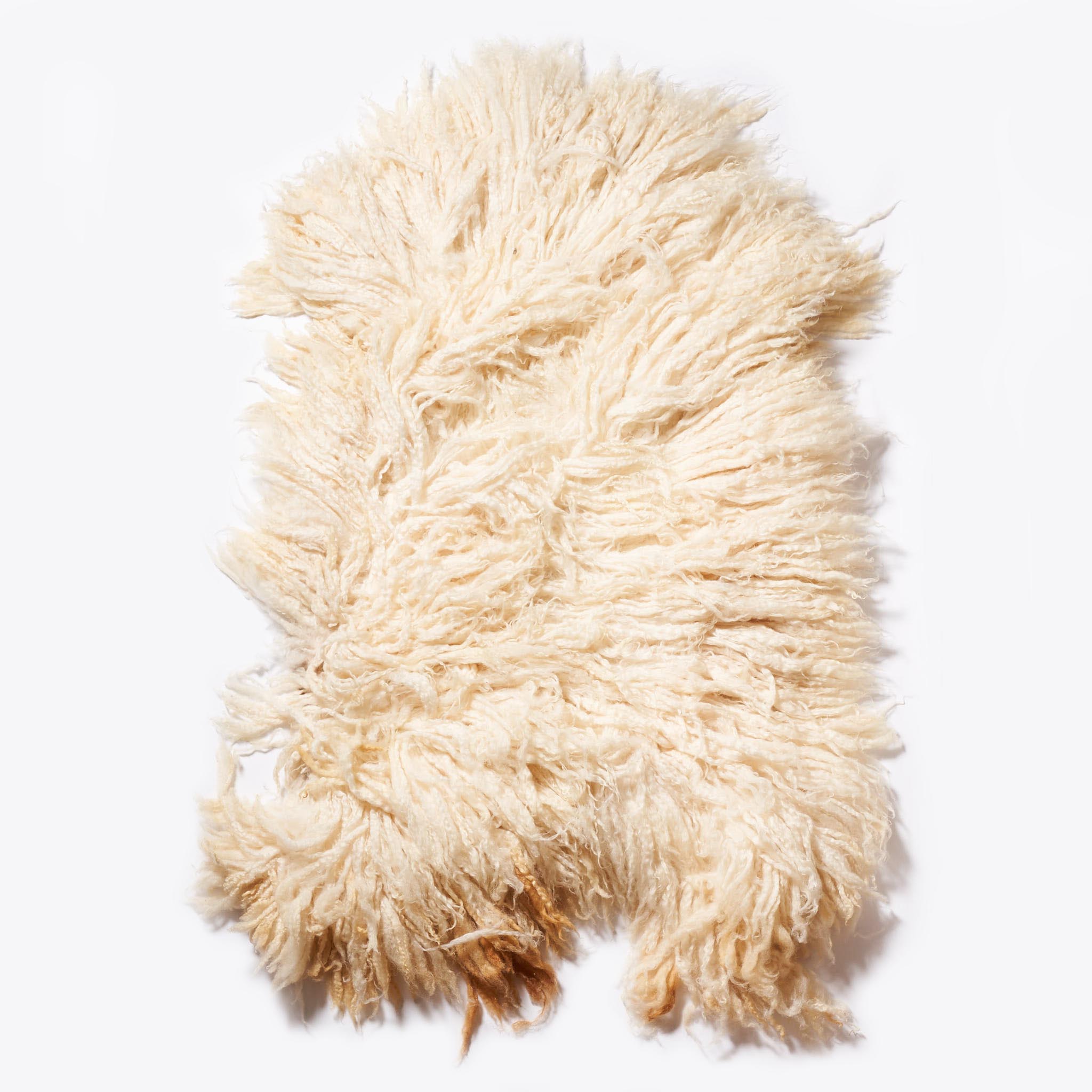 northern-california-climate-beneficial-sheepskins-121115.jpg