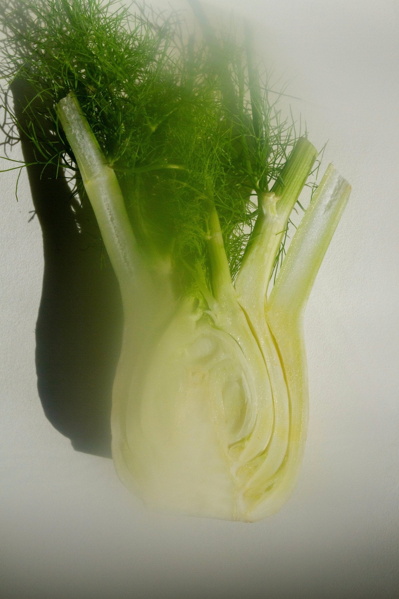 seele-ritual-sea-salt-scrub-celtic-salt-choya-nakh-sage-coriander-5980073.jpg
