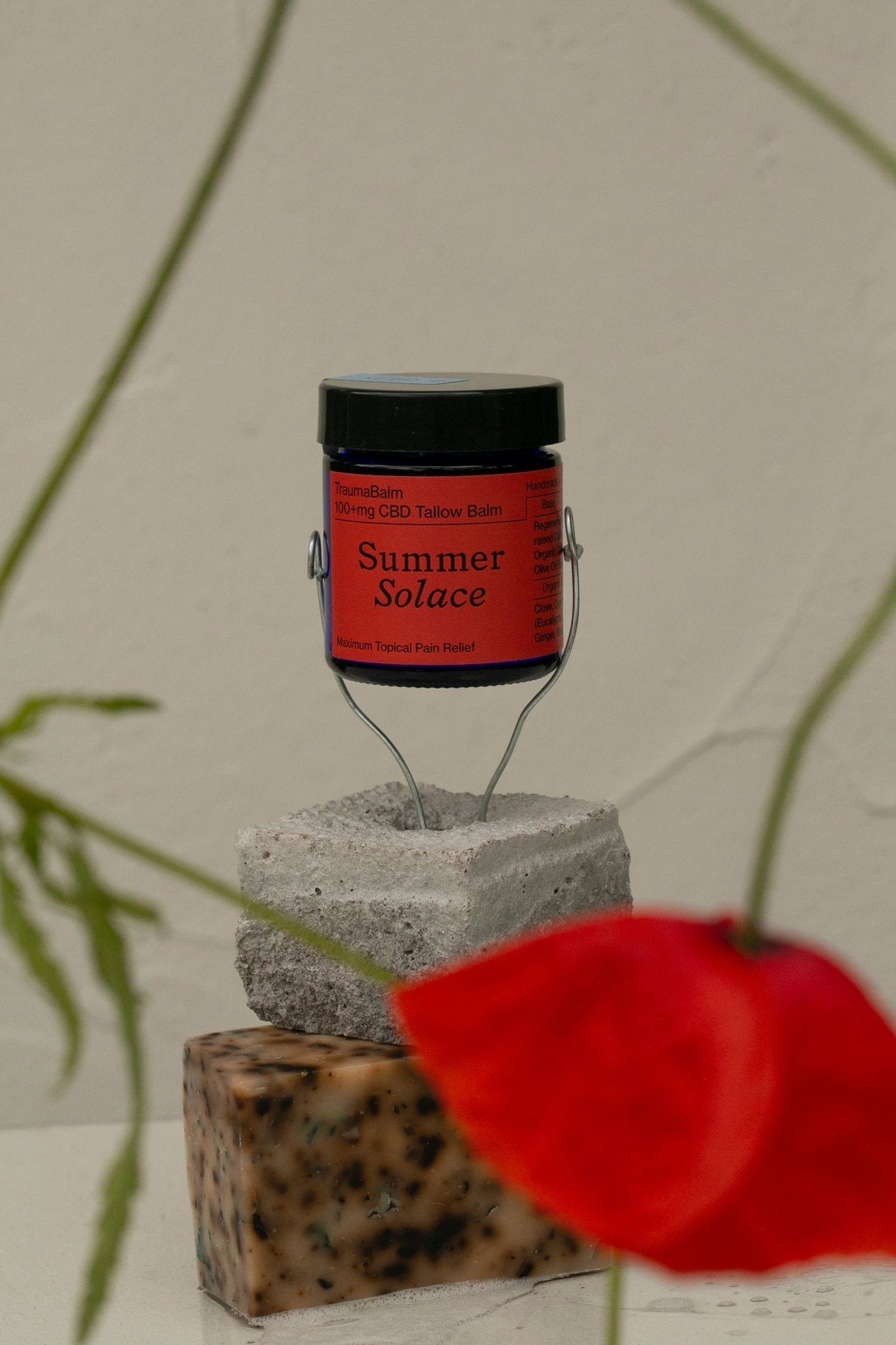 traumabalm-soothe-soreness-regenerative-tallow-852747.jpg